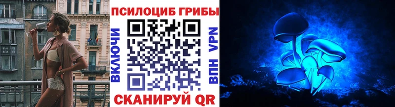 Псилоцибиновые грибы Psilocybine cubensis  Боготол 